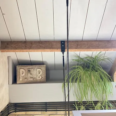 Tiny House Van Hoogspanning Naar Ontspanning Wirdum Exterior photo