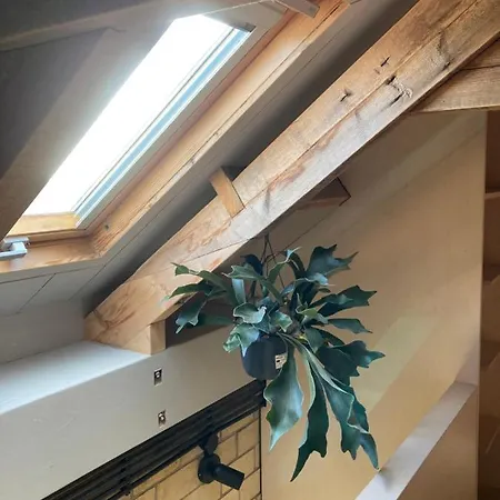 Tiny House Van Hoogspanning Naar Ontspanning Wirdum Exterior photo